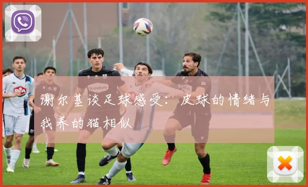 谢尔基谈足球感受：皮球的情绪与我养的猫相似